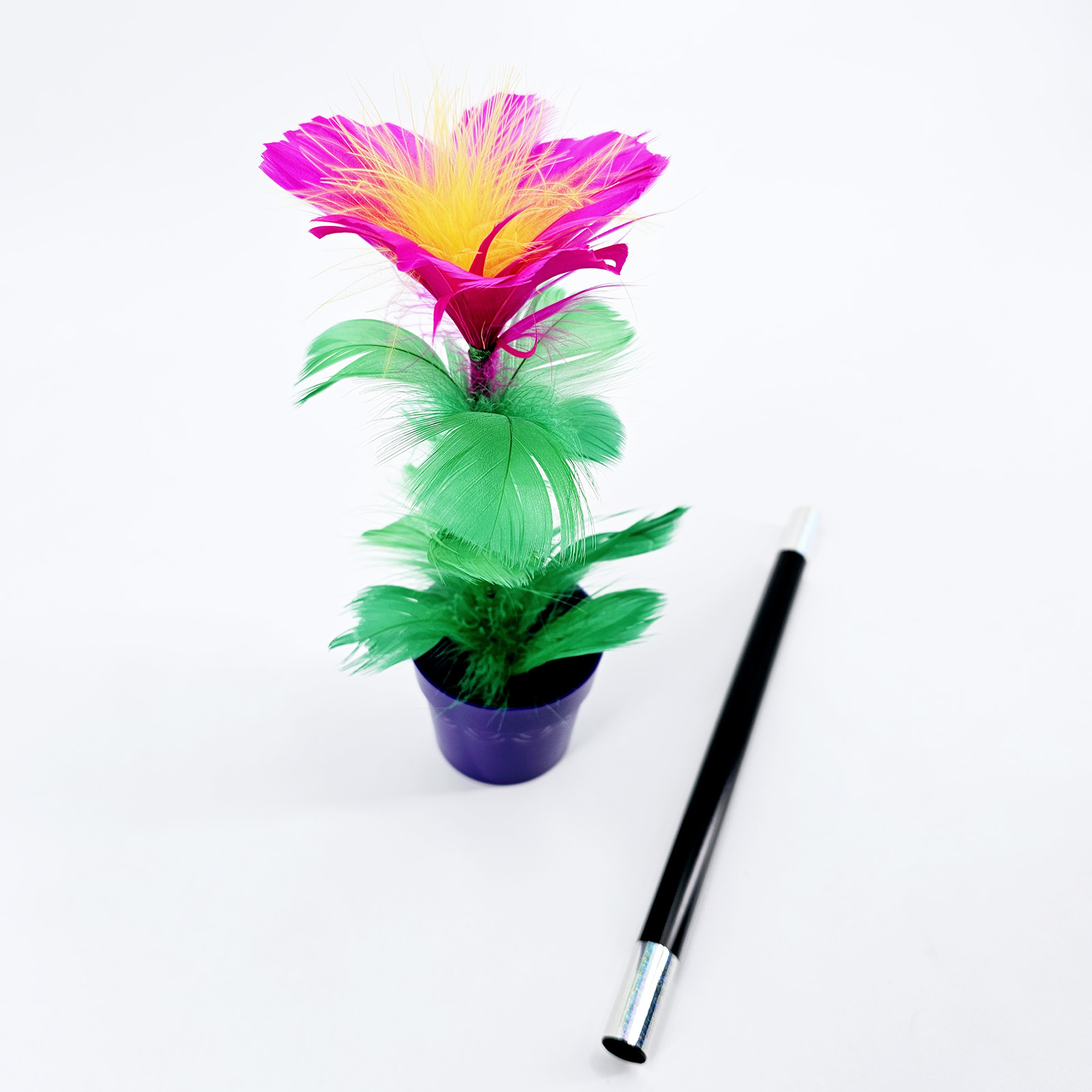 魔棒变花(中)