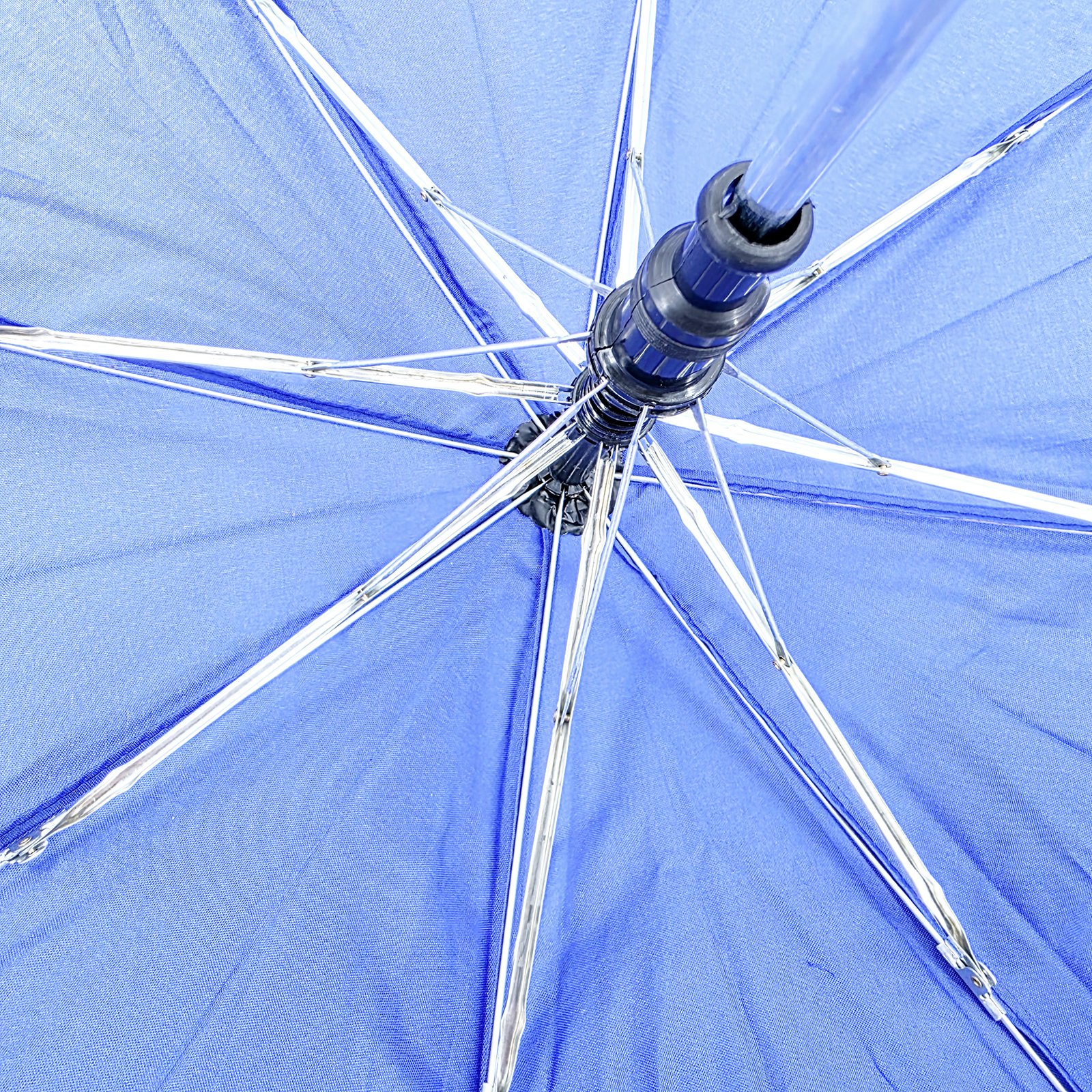 ħ��ɡ(�к�&nbsp;��ɫ)