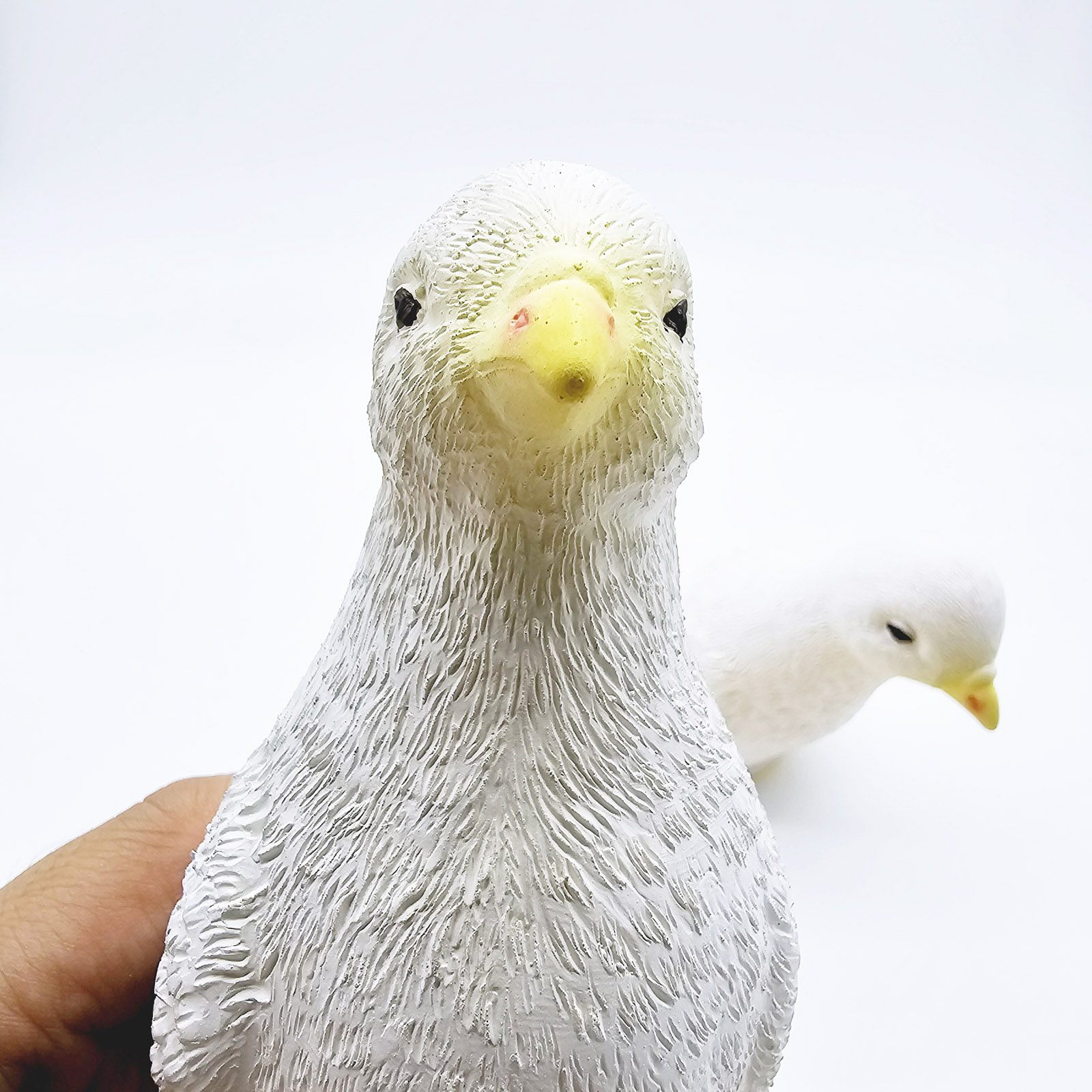 橡胶仿真鸽子