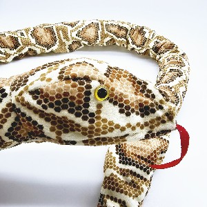 Cane