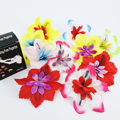 Flower From Empty Hand(Cloth)