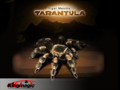 Tarantula