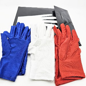 Gloves
